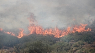 İzmir'deki yangınların ardından itfaiye personellerinin izinleri kaldırıldı