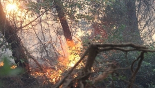 İzmir Menderes'teki yangın kontrol altında