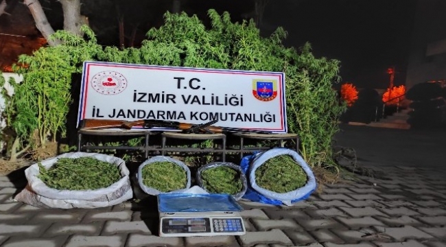 jandarmadan uyuşturucu operasyonu: 4 gözaltı