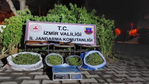 jandarmadan uyuşturucu operasyonu: 4 gözaltı