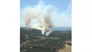 Seferihisar'da makilik alandaki yangına havadan ve karadan müdahale