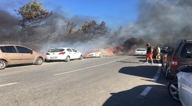 Seferihisar'daki yangın araçlara sıçradı, müdahale sürüyor