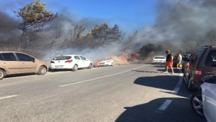 Seferihisar'daki yangın araçlara sıçradı, müdahale sürüyor