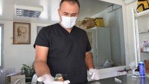 Sevimli Yalı Çapkını Emin Ellerde