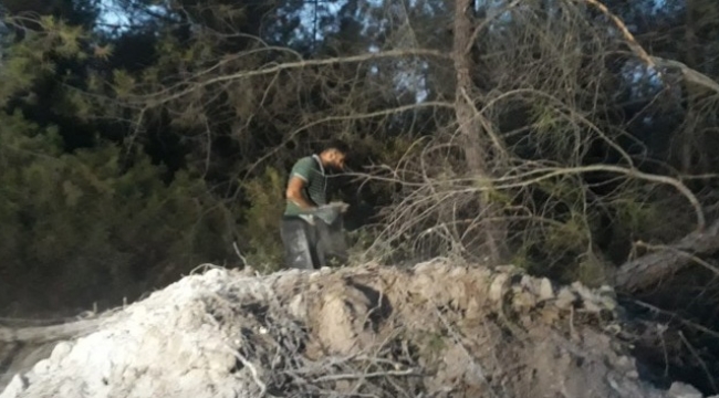 Suriyeli Hasan, orman yangınını avuçlarıyla taşıdığı kumla söndürmeye çalıştı