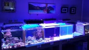  VALİLİKTEN HAYVAN İTHALATINA İLİŞKİN BİLGİLENDİRME