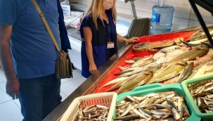 Aliağa'da Tarıma Destek Sürüyor