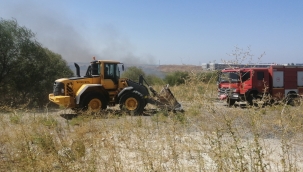 Aliağa'da yangın: 50 dönümlük alan zarar gördü