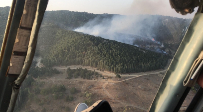 Bergama'daki orman yangını sürüyor