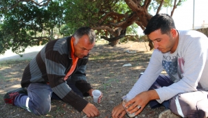 Çeşme Belediyesi'nden tarım hamlesi; "Tarımsal Hizmetler Müdürlüğü"!