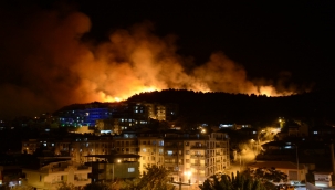 Dikili'de yangın: "Ailesine kızdı, sazlıkları tutuşturdu!"