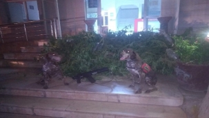 Üç ilçede uyuşturucu operasyonu: 6 gözaltı