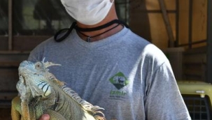 İzmir Büyükşehir Belediyesi Tarsus'a 57 yaban hayvanı gönderd