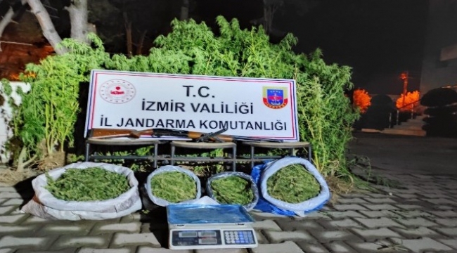 jandarmadan uyuşturucu baskınları: 15 kilo esrar ele geçirildi