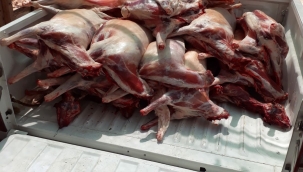 Kaçak et deposuna müdahale