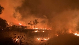 Ödemiş'te evde çıkan yangın zeytinlik alana sıçradı