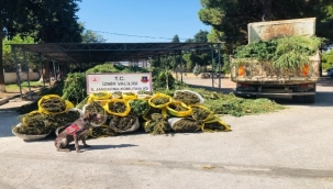 Uyuşturucu operasyonunda 4 gözaltı