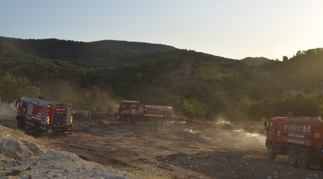  Aliağa'da Güzelhisar Ormanlık alanında yangın
