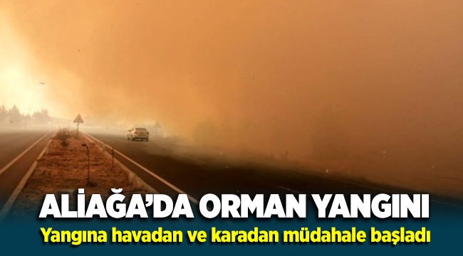 Aliağa'da Orman Yangını