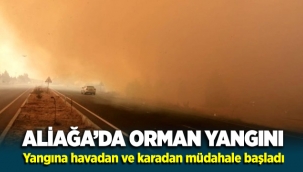 Aliağa'da Orman Yangını