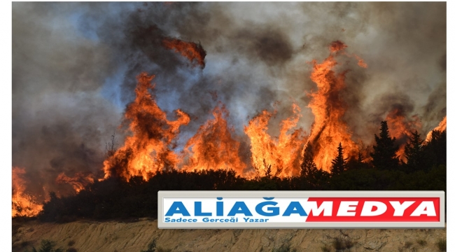 Aliağa'daki orman yangını söndürüldü
