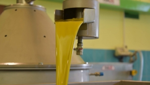 Aliağalı Girişimciden Kaliteli Zeytinyağı Atağı