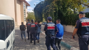 Bergama'daki orman yangının failleri tutuklandı