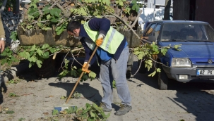 Bozköy Mahallesi'nde Hummalı Çalışma
