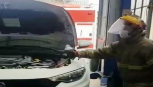 Bursa'da araca giren yılan İzmir'de çıkarıldı