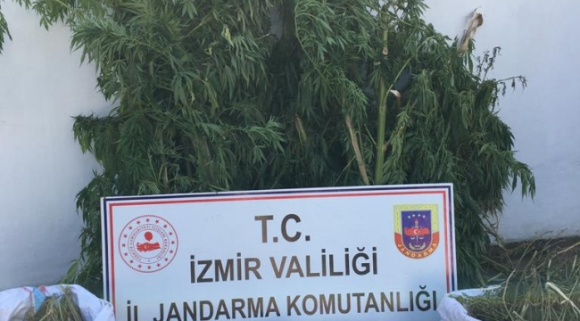 İzmir'de  8,5 kilogram uyuşturucu ele geçirildi 