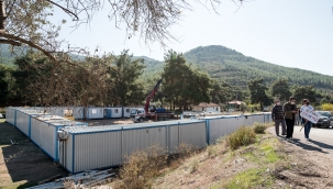 İzmir'in Zeytin Ormanlarına Jeotermal Tehdidi 