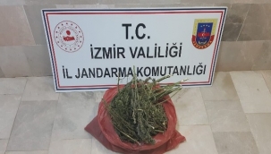 uyuşturucu operasyonu: 2 gözaltı