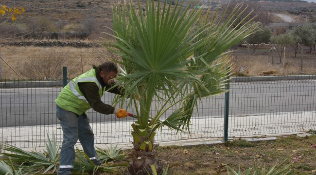 Aliağa Belediyesi Ekipleri Uzunhasanlar'da