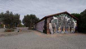 Doğal Yaşam Parkı'nın duvarlarına renk geldi