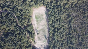 İzmir'de dolandırıcılık operasyonu: 6'sı kamu görevlisi 8 gözaltı