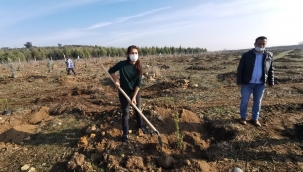 İzmir'de her çocuk adına bir fidan