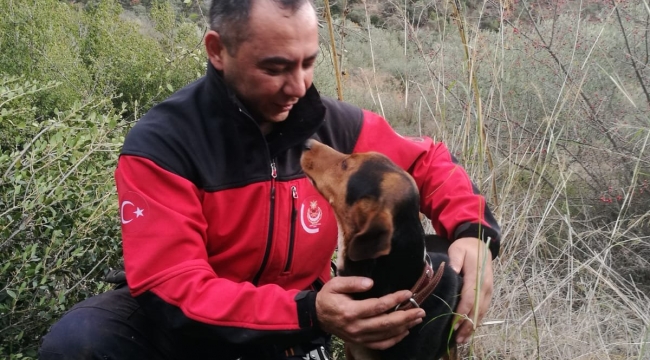 İzmir İtfaiyesi kuyuda mahsur kalan köpeği kurtardı 