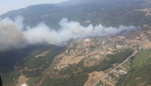 Menderes ilçesinde 430 hektar ormanın yanmasına neden olduğu iddia edilen şüpheliye dava