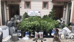 Menemen'de uyuşturucu serasına operasyon: 4 gözaltı