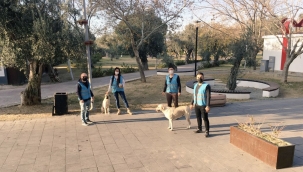 TÜGVA Aliağa İlçe Temsilciliği Sokaktaki Dostlarımızı Unutmadı !!