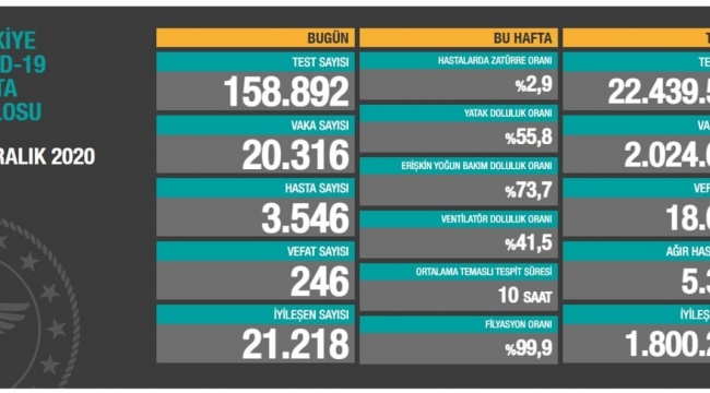 Yurtta Son 24 saatte korona virüsten 246 kişi hayatını kaybetti