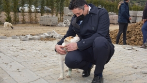 Aliağa Belediyesi'nden Sevimli Dostlara Dört Dörtlük Tesis