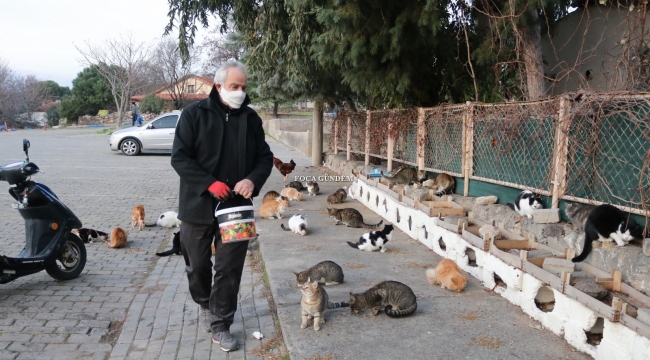 FOÇALI TURİZMCİDEN PANDEMİ MAĞDURU KEDİLERE BARINAK