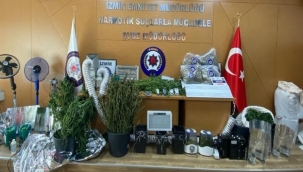 İzmir'de kenevir operasyonu: 10 gözaltı