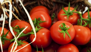Rusya Türk domatesinin kotasını 250 bin tona çıkardı