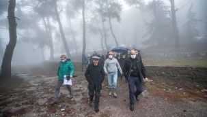 "Siz kooperatif kurup üretin biz ürününüzü alalım"