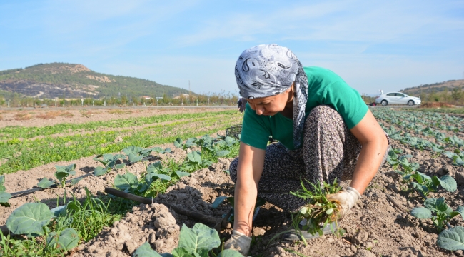 Aliağa Belediyesi'nden Türkiye'nin İlk Toprak ve Tarım Atlası