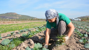 Aliağa Belediyesi'nden Türkiye'nin İlk Toprak ve Tarım Atlası