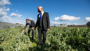 Başkan Soyer'den dolu nedeniyle zarara uğrayan üreticilere ziyaret