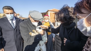 Başkan Soyer: Dikili yaz sezonuna sorunsuz girecek